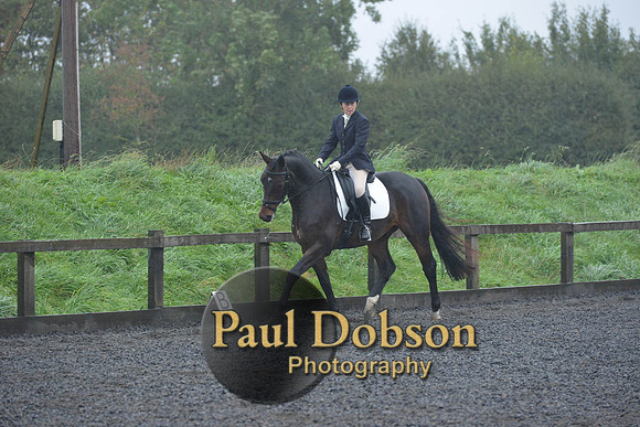 dressage-6583