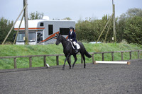 dressage-5889