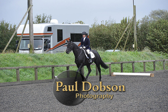 dressage-5889