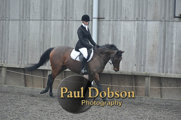 dressage-5870