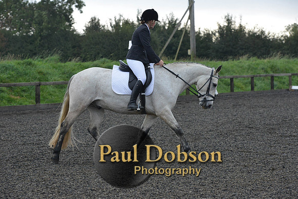 dressage-4542