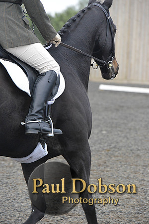 dressage-5210