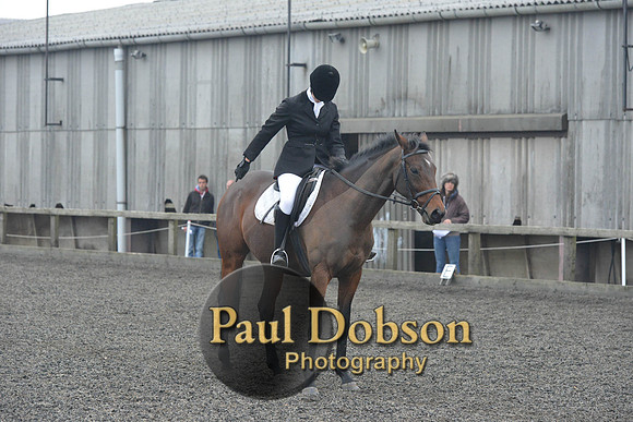 dressage-5880