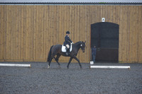 dressage-6580