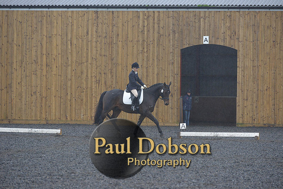 dressage-6580