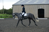 dressage-4116