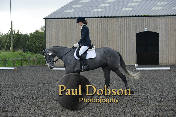 dressage-4116