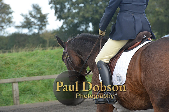 dressage-7280