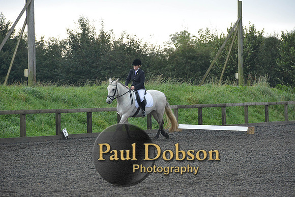 dressage-4552