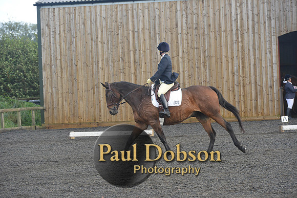 dressage-7283