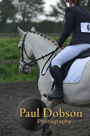 dressage-4565
