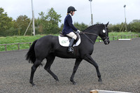 dressage-5893