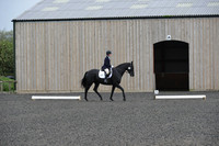dressage-5900