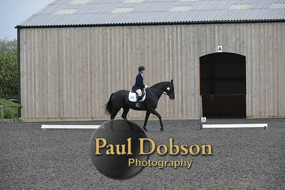 dressage-5900