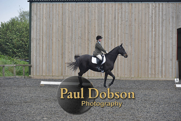 dressage-5219