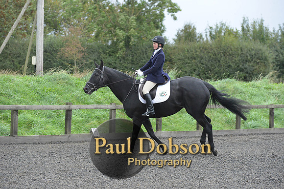 dressage-5909