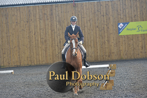dressage-6788