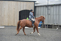 dressage-5419
