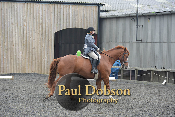 dressage-5419