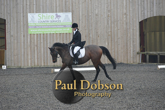 dressage-5863