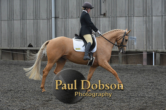 dressage-5753
