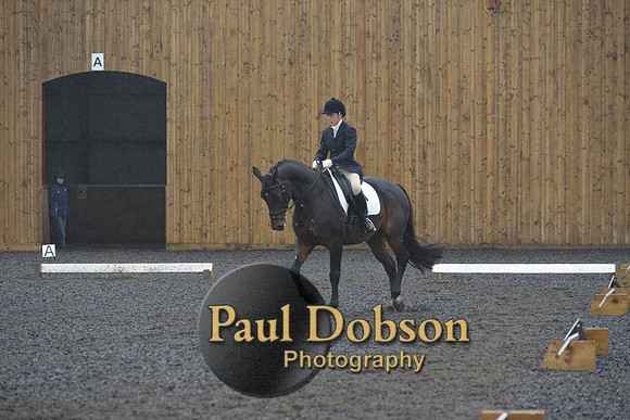dressage-6609