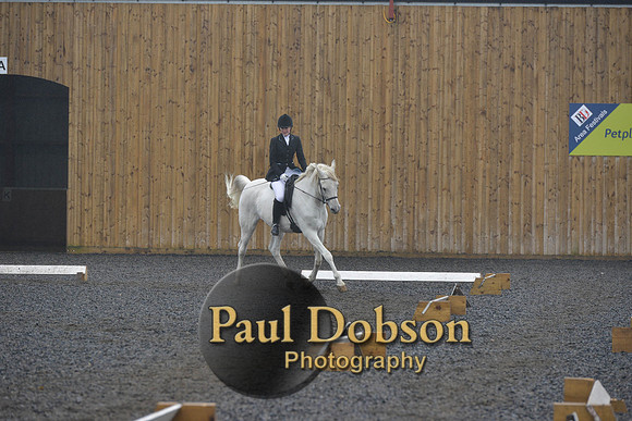 dressage-6502