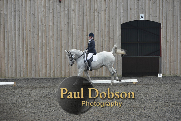 dressage-5736
