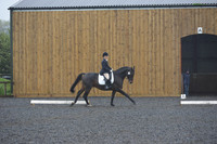dressage-6593