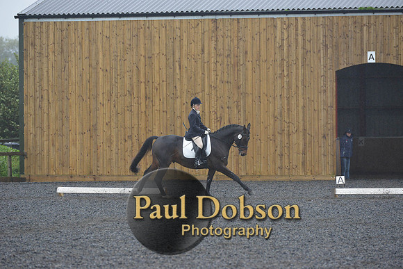 dressage-6593