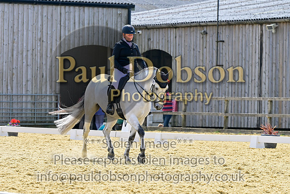 _2623446