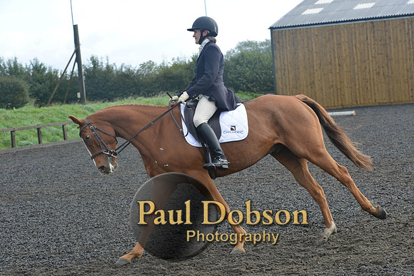 dressage-6795