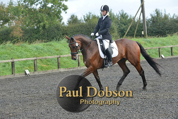 dressage-6904