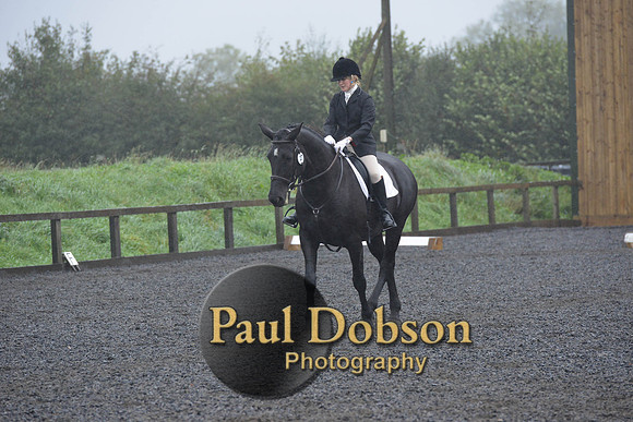 dressage-6579