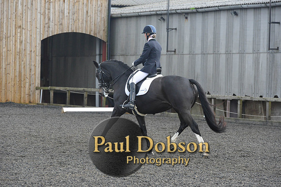dressage-7275