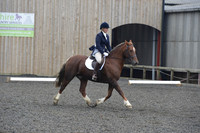 dressage-5429