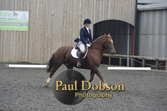 dressage-5429