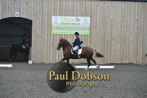 dressage-5439