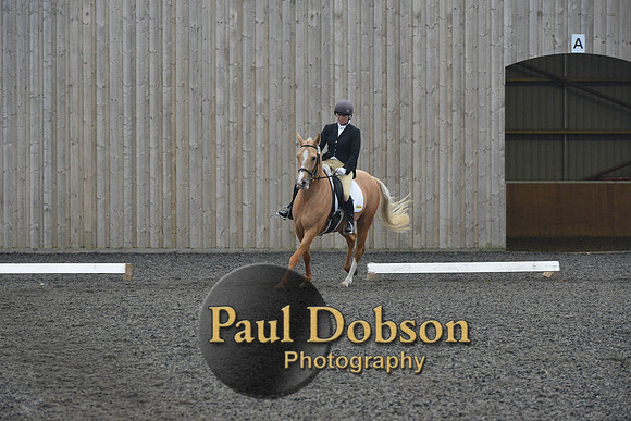 dressage-5766