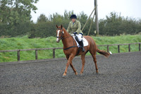 dressage-6284