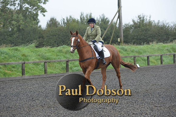 dressage-6284