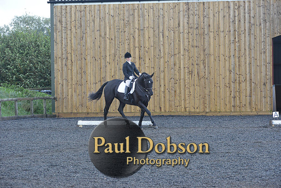 dressage-6847