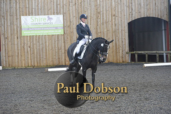 dressage-7286