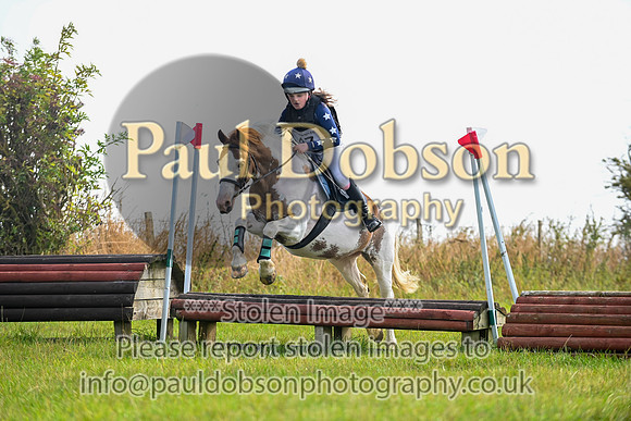 hkw_0310h