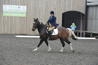 dressage-5705