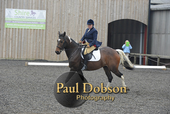 dressage-5705