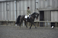 dressage-6279