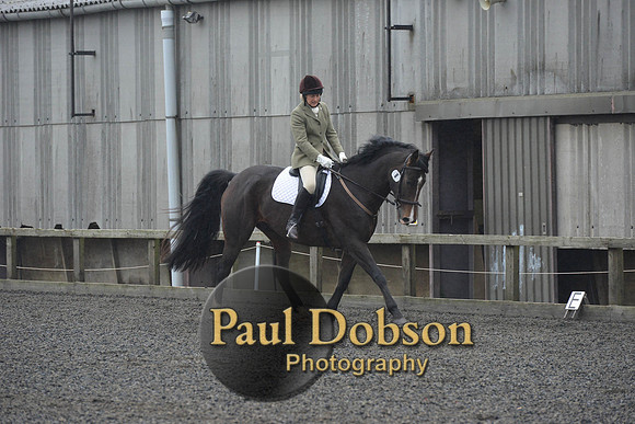 dressage-6279
