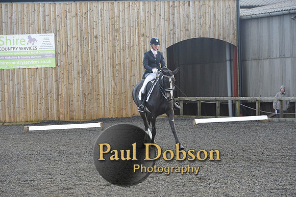 dressage-7303
