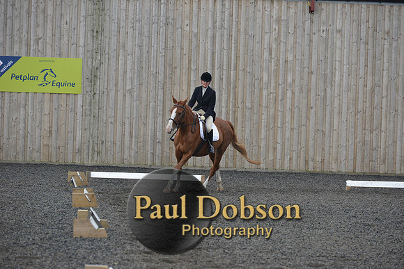 dressage-4519